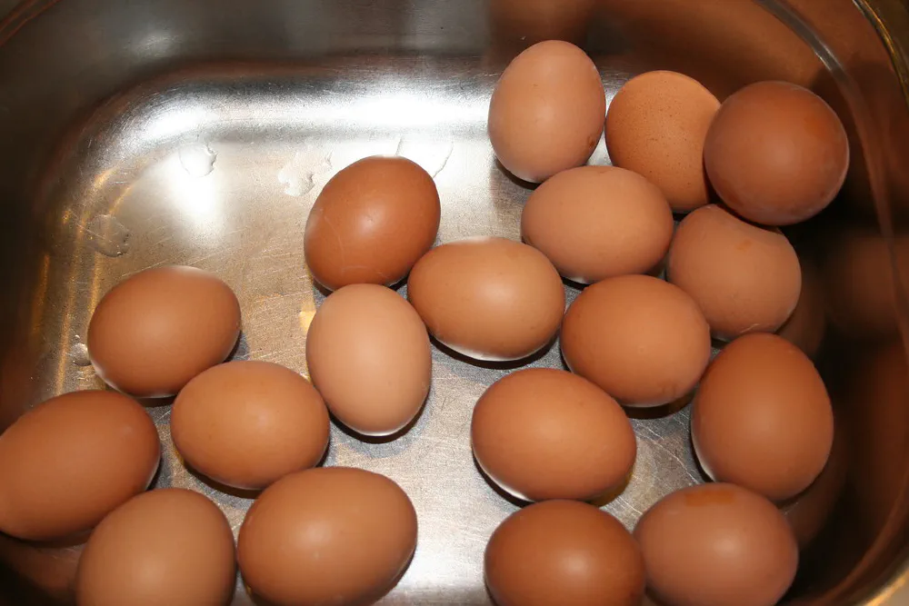 Boiled Eggs