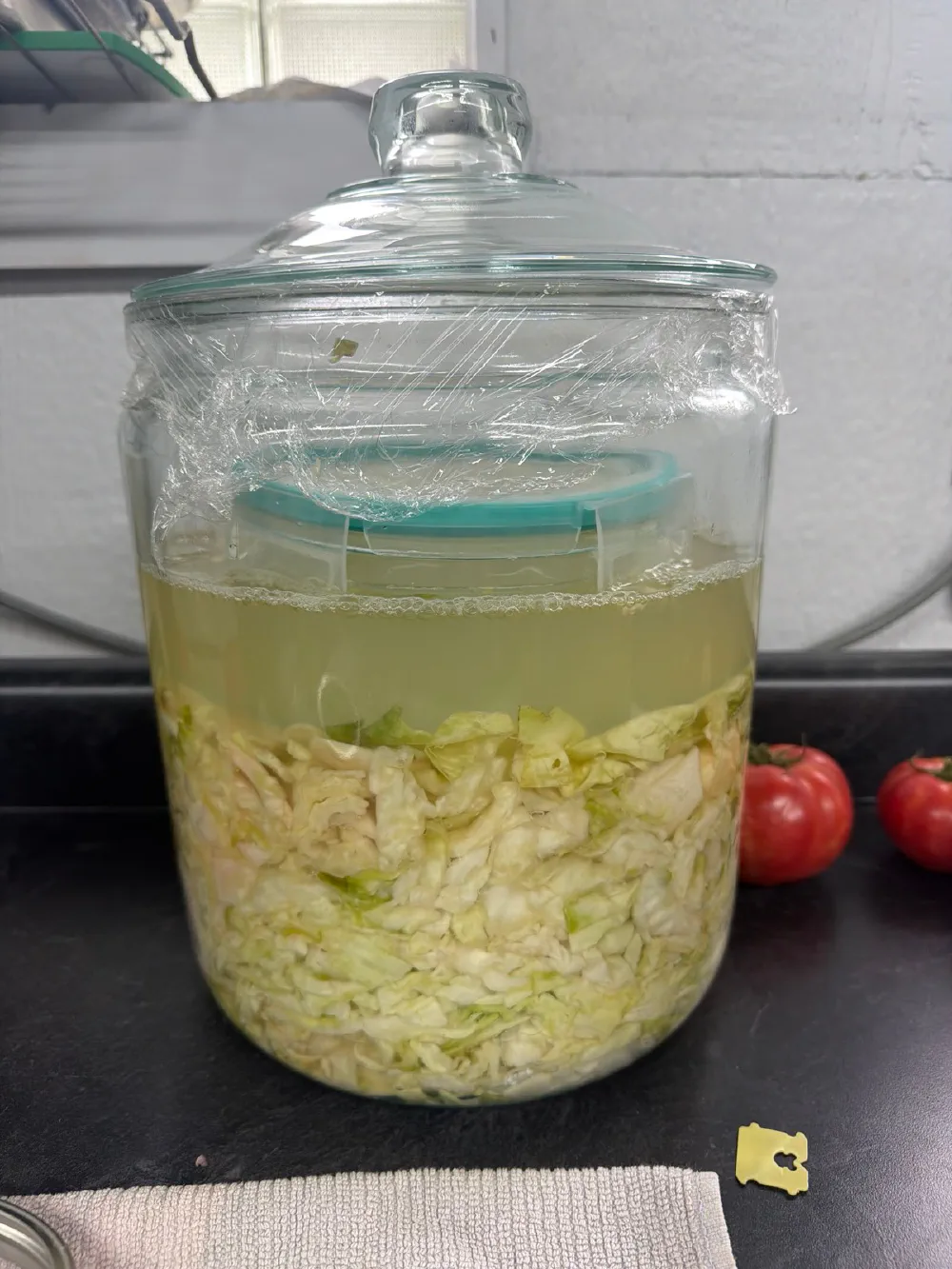 Spicy Tangy Garden Sauerkraut with Lemongrass and Nutmeg